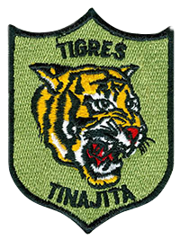 PDF 1st Infantry Company patch 