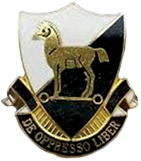 Special Forces SSI and the 10th SFG DUI before it was replaced by the universal SF DUI