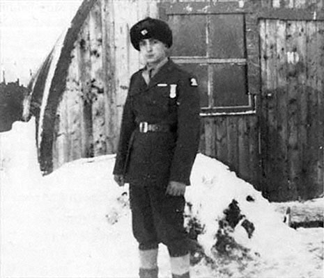 The 1st Marine Brigade wore the British &lsquo;polar bear&rsquo; SSI while in Iceland