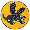 541st Parachute Infantry Regiment Patch