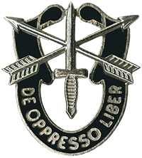 SF Distinguished Unit Insignia