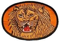 Shoulder patches of the ROKA Special Operations units