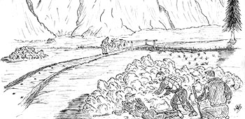 SKETCH: Contact Signals