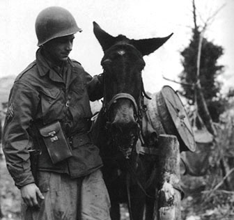 In the mountains of Italy, mules were the primary means of transportation.