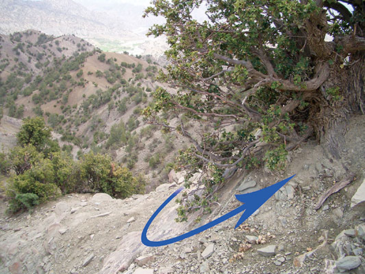 The wounded Cooper &ldquo;button hooks&rdquo; left around the scrub evergreen and scrambles up behind it, opposite the enemy positions.