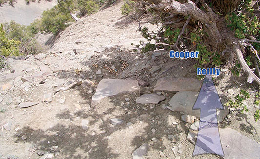 Cooper is lying on the flat rocks, burrowed up close to the scrub evergreen when Reilly comes &ldquo;sliding into him&rdquo; from the lower right &ldquo;like a baseball player going for third base.&rdquo;