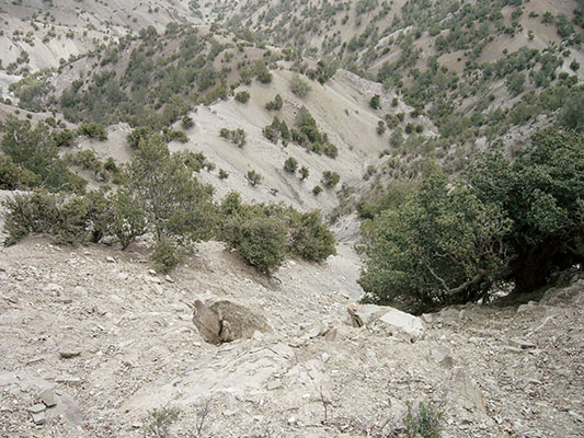 Chief Warrant Officer Anthony Stencill and Staff Sergeant Nate Underhill support-by-fire (SBF) position at the top of the southerly finger looking down on Reilly and Cooper&rsquo;s location.