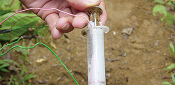 This “toe popper” IED uses a syringe to conduct the electric circuit.