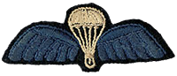 Major Herbert Brucker&rsquo;s British Special Forces (SF) parachute badge.