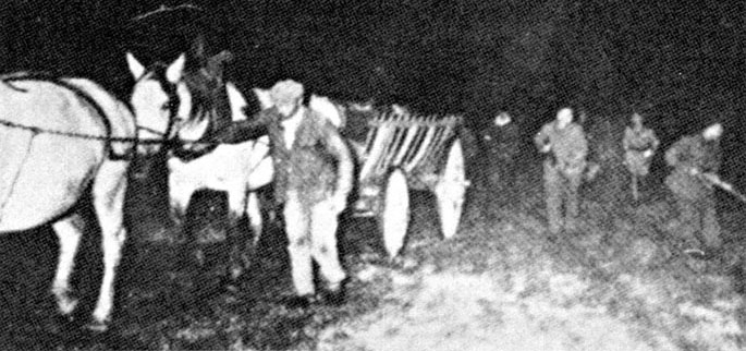 When trucks were not available to haul equipment and supplies from the drop zones, the farmers used horsedrawn wagons.