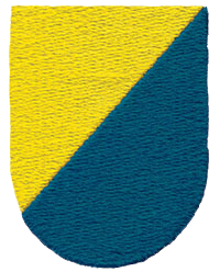 8th Special Forces Group Flash