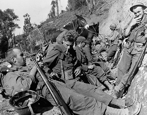 Marauders taking a well earned break in a drainage ditch on the side of a mountain.