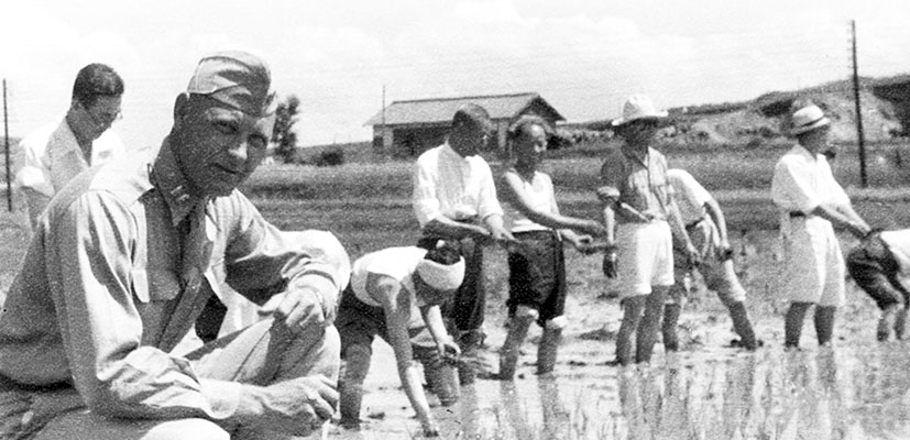 CPT Vangen at rice planting vicinity of Chonju.