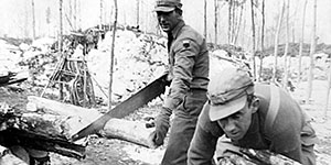 Winter training in the Ottawa National Forest along Lake Superior in northern Michigan, January-February 1943.