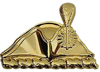 3rd Infantry Regiment DUI