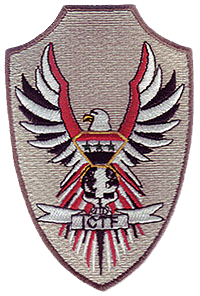Iraqi &ldquo;Raptor&rdquo; patch