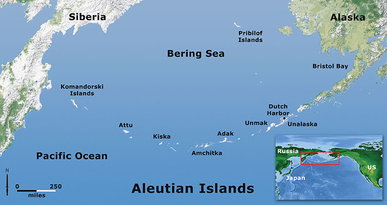 The Aleutian Islands are formed from the partially submerged mountains of Alaska&rsquo;s Aleutian Range. Stretching for over 1100 miles in an arc south and west of the Alaska Peninsula, more than 160 named islands of the archipelago separate the Pacific Ocean from the Bering Sea.