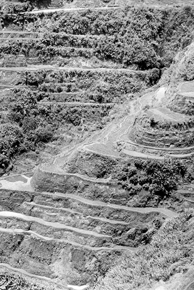 The rugged terrain in Northern Luzon protected Blackburn and his guerrillas from the Japanese. The steep, terraced hillsides and thick jungle made rapid movement difficult for the Japanese Army.