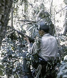 2nd Ranger Battalion training