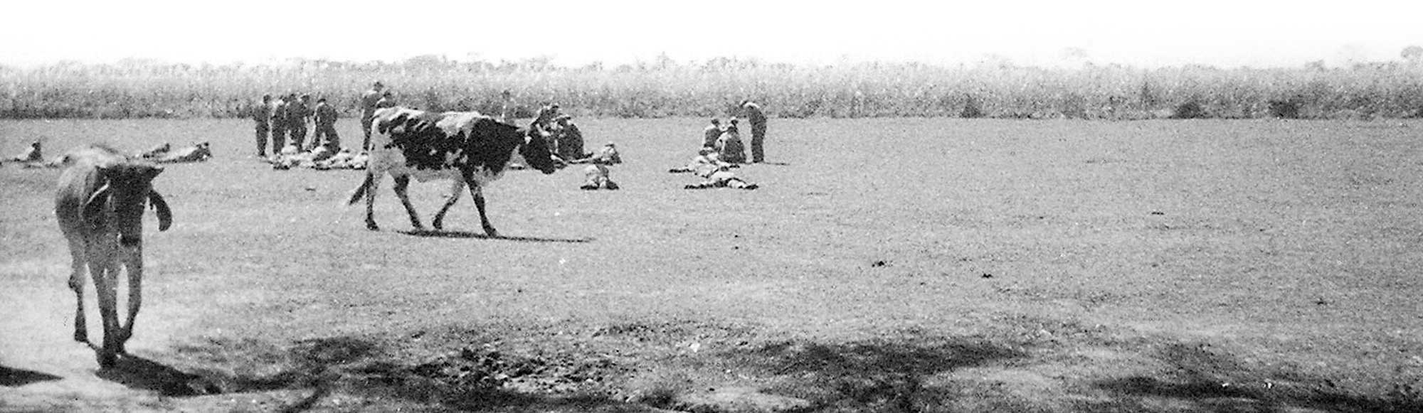 Home on the range. It was a daily ritual to clear the range and training areas of livestock and people before the commencement of live fire training.