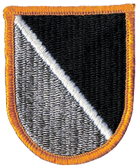 1st Special Warfare Training Group Flash