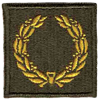 U.S. Army Meritorious Unit Insignia