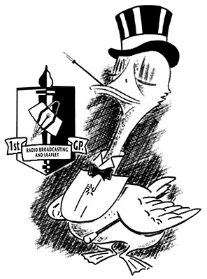 Elegant Drake Gander