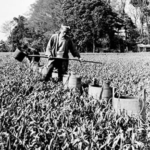 Maximizing South Korean agricultural production was critical to rebuilding the economy and making the country self-sufficient.