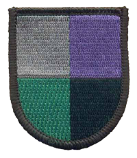 91st Civil Affairs Battalion