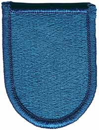 19th Special Forces Detachment flash