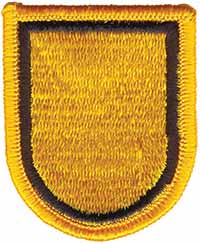 1st Special Forces Detachment flash