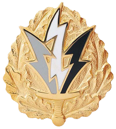 Distinctive Unit Insignia